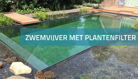 Zwemvijver met plantenfilter aanleggen in Drunen