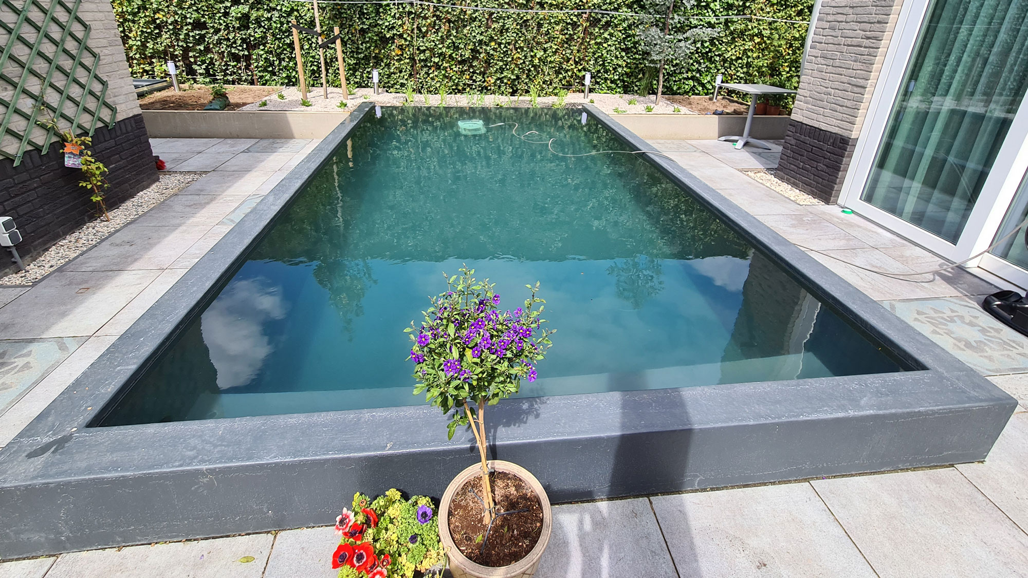 Zwemvijver nadelen op een rijtje