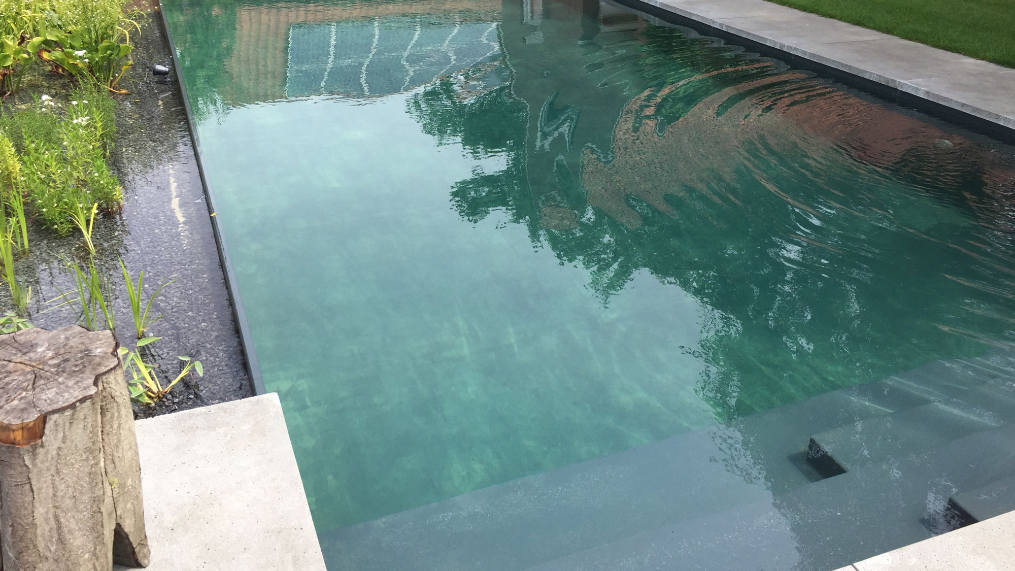 Prachtige zwemvijver bij elk seizoen