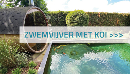 Interesse zwemvijver in tuin met koi