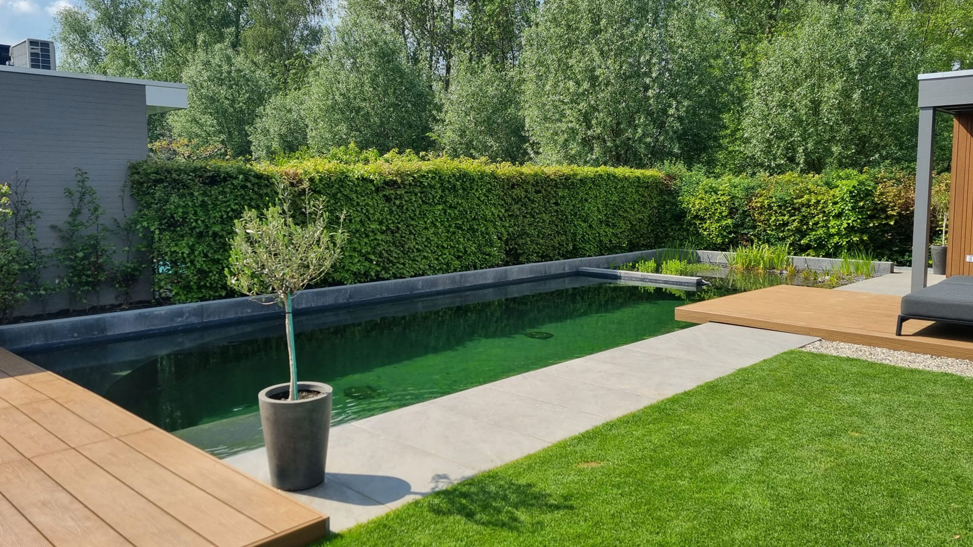 Voordeel zwemvijver natuurlijk en gezond zwemmen