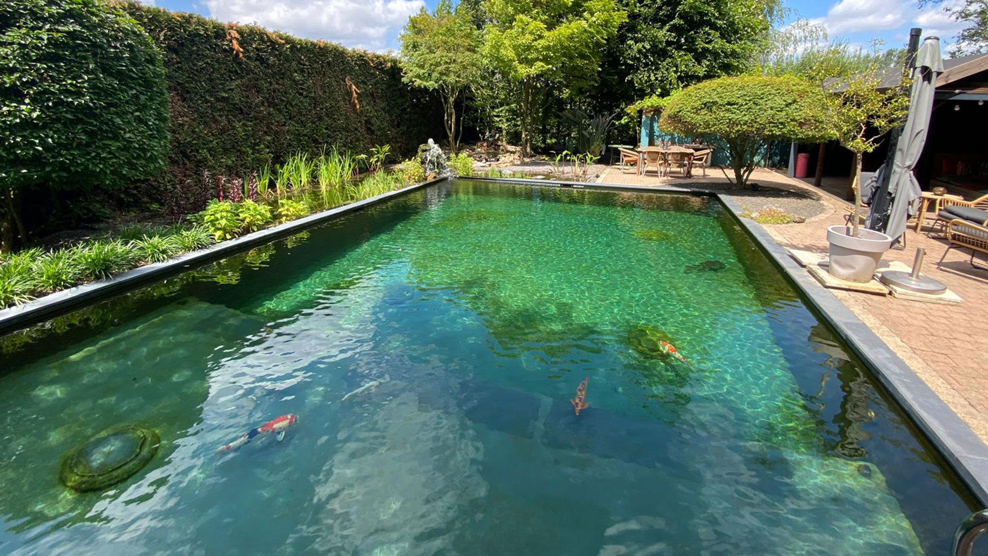 Wanneer zwemvijver of zwembad