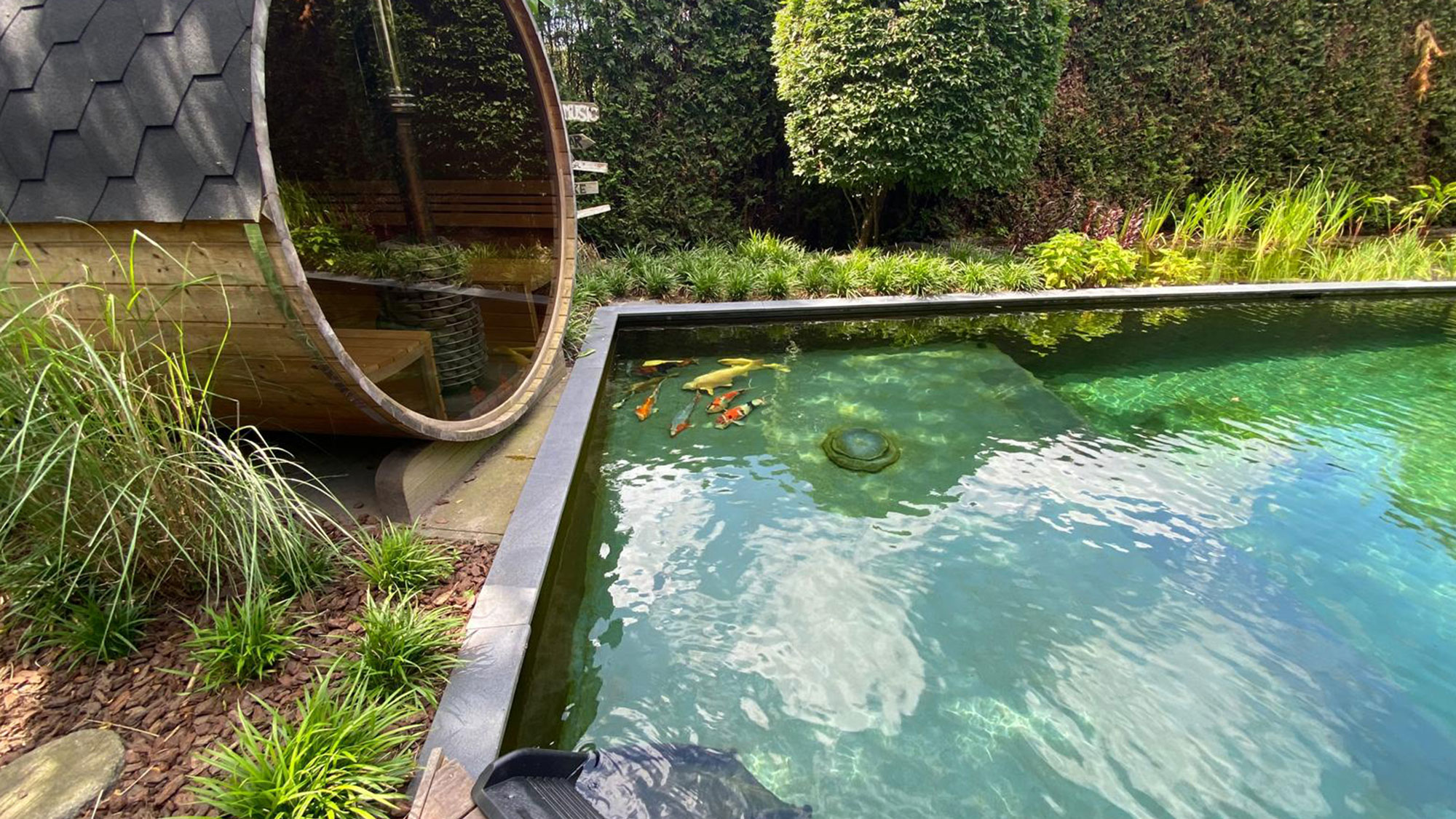 Advies over zwemvijver vragen aan specialisten