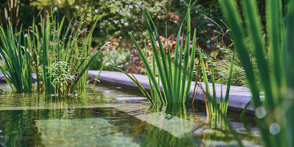 Advies_en_onderhoud_op_maat