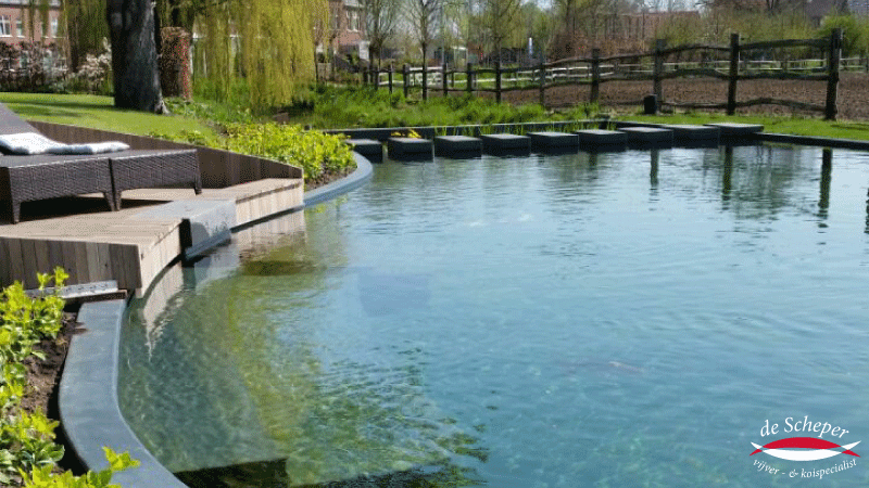 Helder Zwemwater in Natuurlijke Vijver Sierlijke zwemvijver met helder, biologisch gefilterd water en natuurlijke oeverbeplanting.