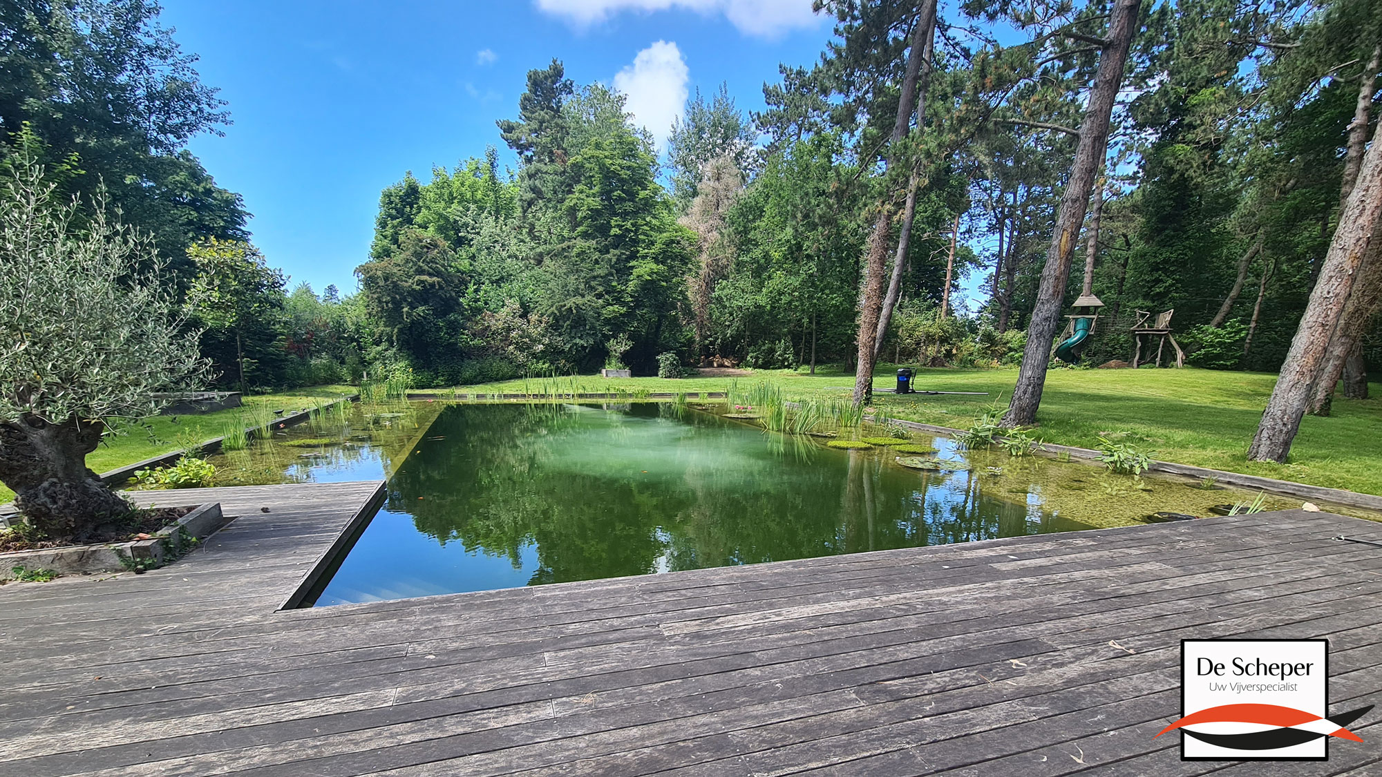Natuurlijk Zwembad met Helder Water en Natuurlijke Oever Natuurlijk zwembad met kristalhelder water, natuurlijke oeverbeplanting en biologische filtering in een moderne tuin.