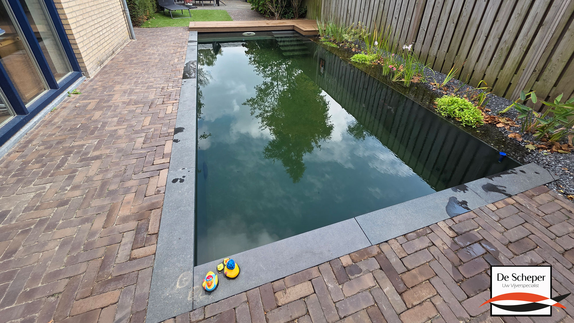 Natuurlijke Zwemvijver met Soldeck Afdekking Natuurlijke zwemvijver met Soldeck afdekking, helder water en strakke afwerking in een moderne tuin.