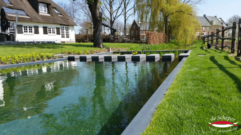Overgang van Zwemvijver naar Plantenfilter Water stroomt vloeiend van zwemvijver naar biologische plantenfilter via stapstenen en verval.