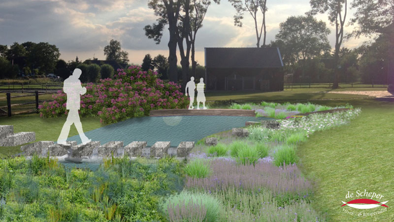 Stapstenen en Waterverloop Water stroomt over stapstenen van zwemvijver naar plantenfilter, zichtbaar verval en natuurlijke overgang.