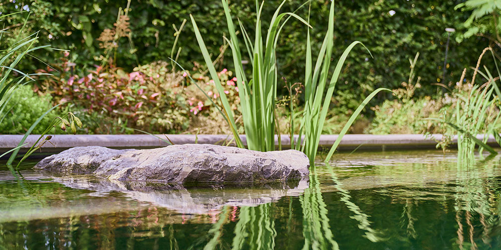 Zwemvijver_filterzone_topzwemvijver