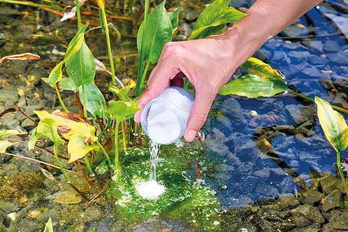 Draadalgen tegen gaan in zwemvijver